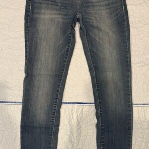 Classic Wallflower Blue Women's Jeans